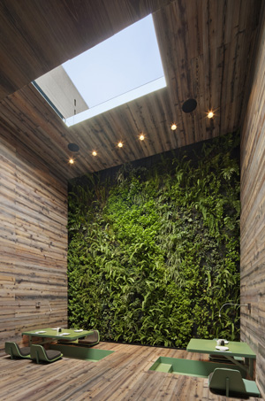 Green wall