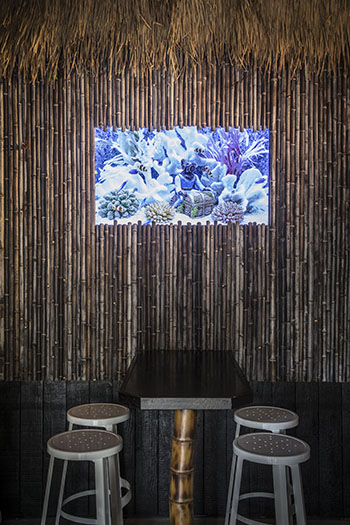 South Seas aquarium 01 jwb 