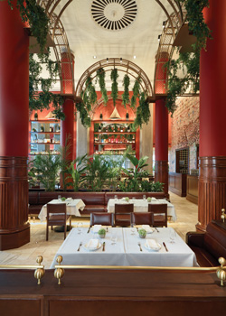 dyerbrown nahita 1 final