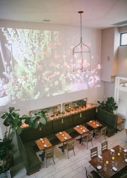 trend wild common credit lucy cuneo