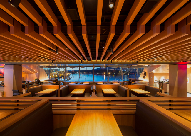 CactusCafe Credit Michael Elkan 0303 7736p