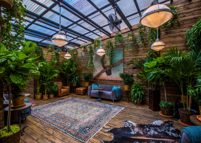 mama Botanico Interiors FW19 Ethan Jollie 14