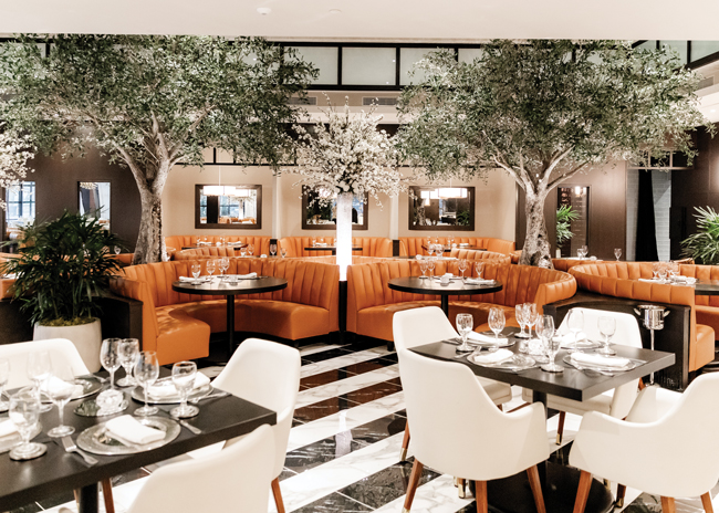 Concrete olive trees are the centerpiece of Truluck’s new dining area. Images courtesy of Truluck's