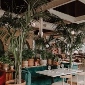 dining room  greenery