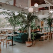 dining room  windows