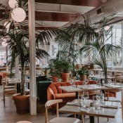 dining room vertical  trees