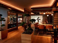 angeloak barwoman 62216