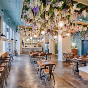 4mp wakenbacon01320 007