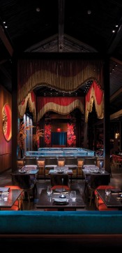 trend gekkorockwell gekko editcredit groot hospitality