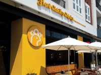 dscf3239 designscout