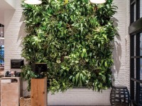 sixty vines woodlands