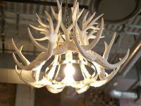 punch bowl social 13