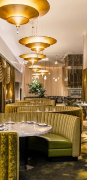 dustin bailey animae main