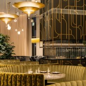 dustin bailey animae