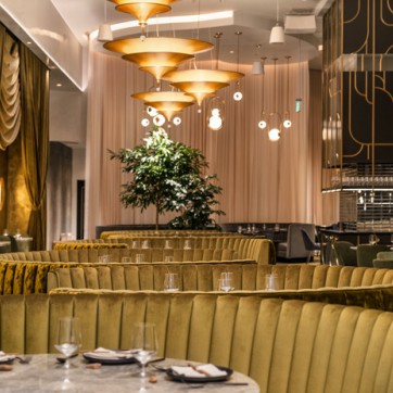 dustin bailey animae