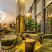 dustin bailey animae