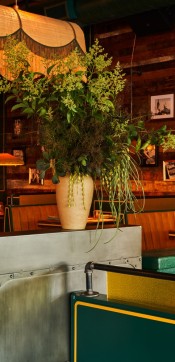 daisy   adean1789 final