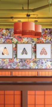 2024 jaguarbolera famdesign kylachambersphotography details