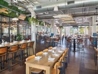 journeyman 20508 n58 large