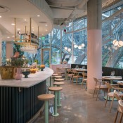 heliotrope willmottsghostx