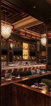 20241202 white noise alessa key