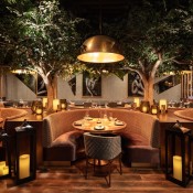 tocamaderahouston credit  connie anderson 