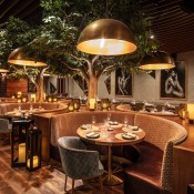 tocamaderahouston credit  connie anderson 