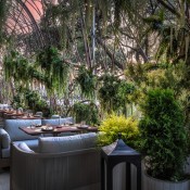 tocamaderahouston credit  connie anderson 