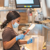 starbird kitchen screen