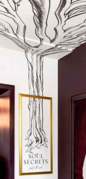 soul secrets
