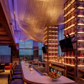 johnsonstudio hyattcentric michaelstavaridis edit