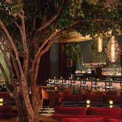 lymbar leonid furmansky gin design group web 