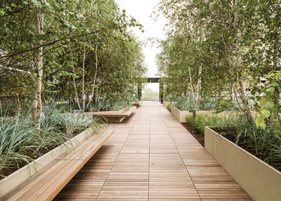 bison product image 1