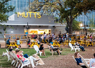 MUTTS Canine Cantina Opens Second Location